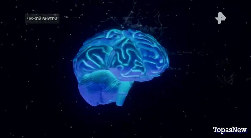 Спецпроект. Чужой внутри смотреть онлайн