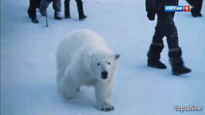 Песни от всей-души 15 03 26 смотреть онлайн