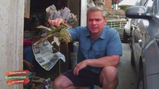 Невероятно интересные истории 10.11.2025