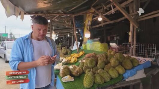 Невероятно интересные истории 23.12.2025 смотреть онлайн