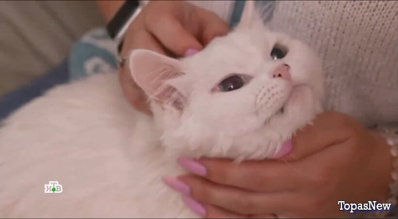 Квартирный вопрос 04.10.25 НТВ