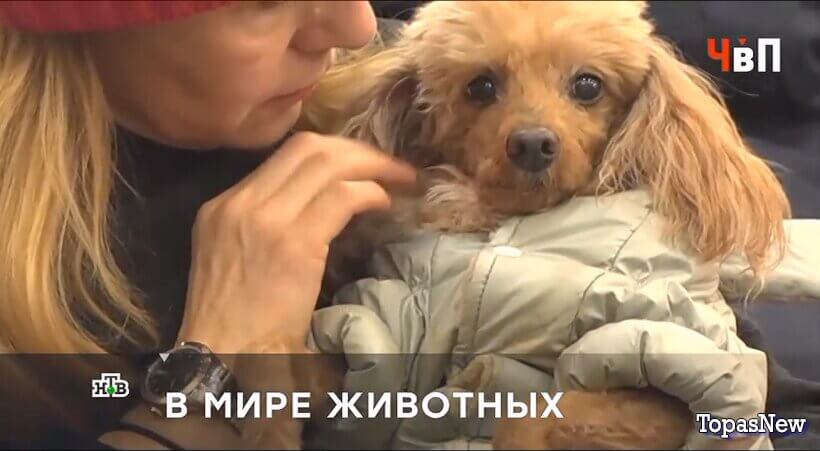 Человек в праве с Андреем Куницыным смотреть онлайн