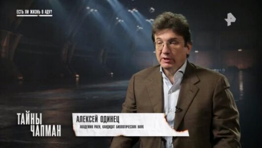 Тайны Чапман 08.12.2025 смотреть онлайн