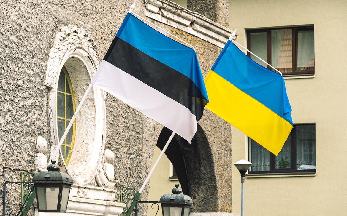 В Эстонии предложили ограничения, под которые подпадет флаг Украины