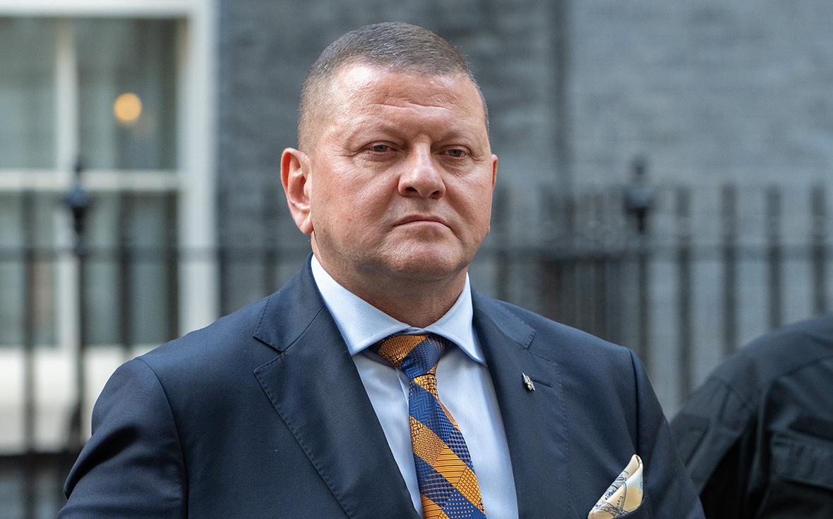 Залужный сравнивал подготовку к конфликту с Россией с боем против Тайсона