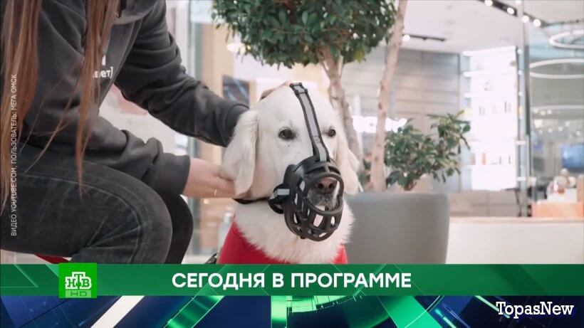 Место встречи 16.06.25