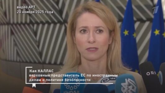 Человек и закон 28.11.2025 смотреть онлайн