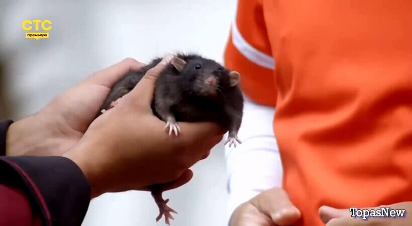 Форт Возращение 10 серия 28 декабря 2025