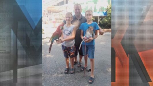 Мужское Женское 22.12.2025 смотреть онлайн