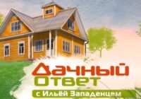 Дачный ответ от 25.01.2026