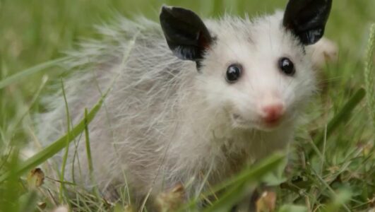 Невероятно интересные истории 26.11.2025 смотреть онлайн