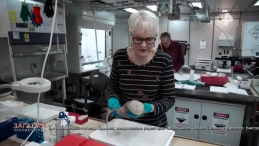 Загадки человечества с Олегом Шишкиным 06.10.2025