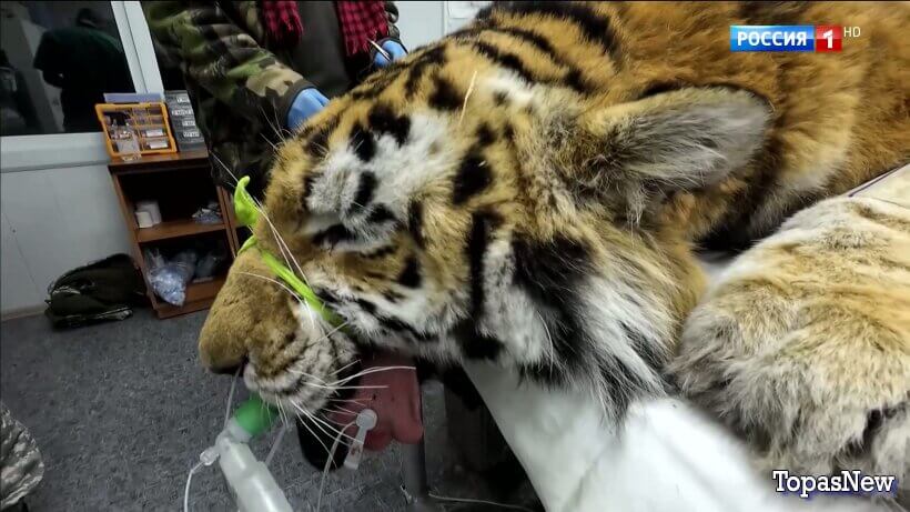 Вести 20.00 14.02.26 смотреть онлайн