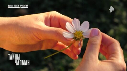 Тайны Чапман 03.12.2025 смотреть онлайн