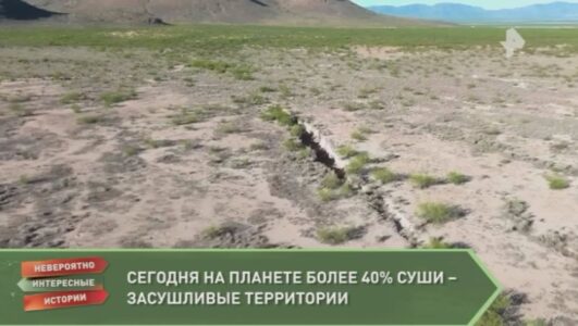 Невероятно интересные истории 24.09.2025