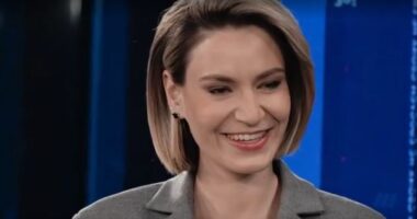 Наши военкоры от 24.01.2026 смотреть онлайн