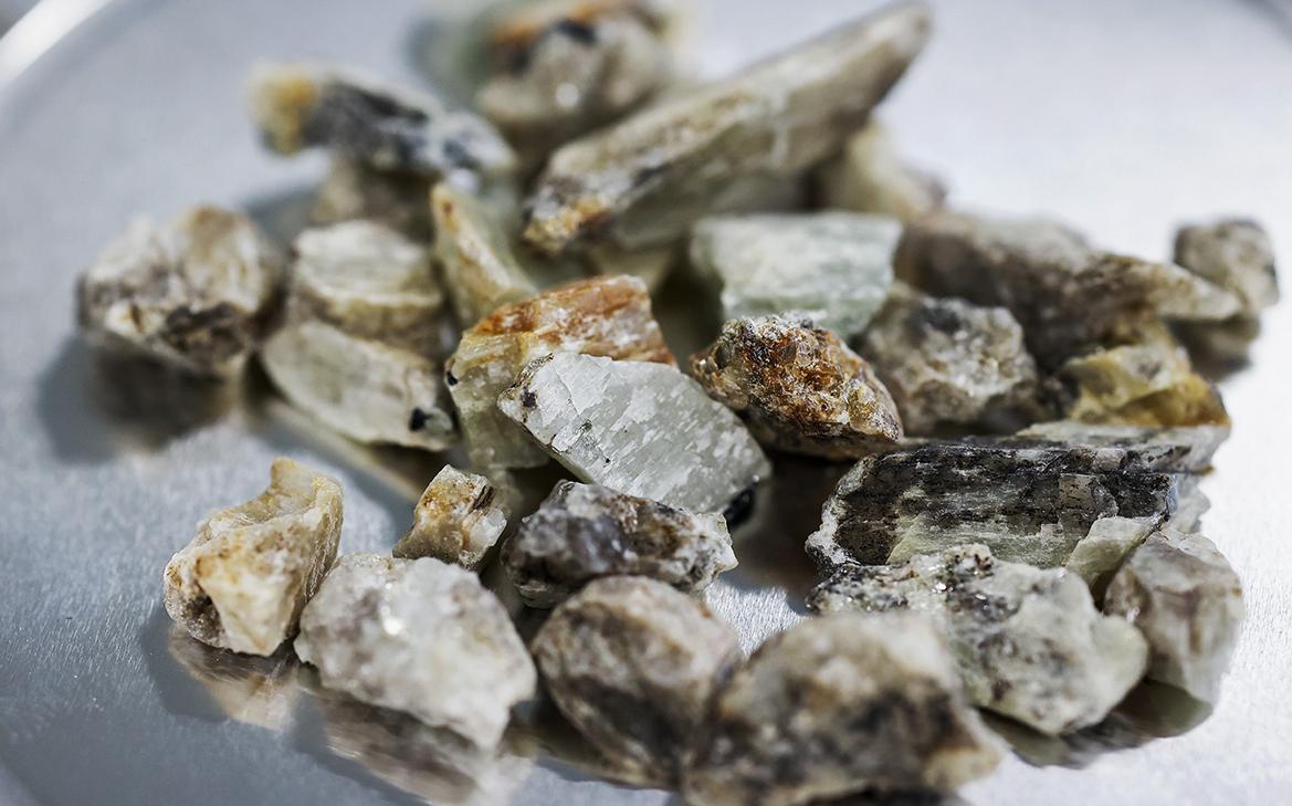 Reuters узнал о приостановке участия Индии в проекте с «Росатомом» в Мали