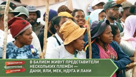 Невероятно интересные истории 09.09.2025 смотреть онлайн