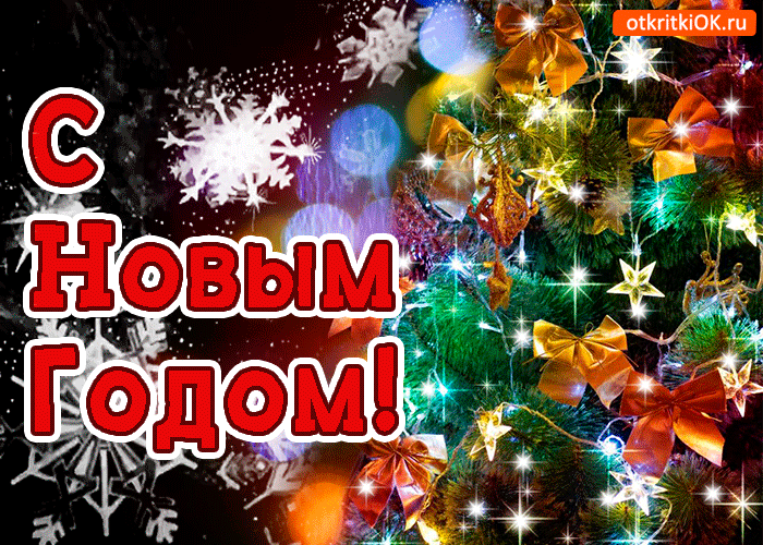 Праздничные программы в Новый 2026 год смотреть онлайн